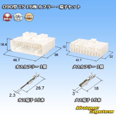 画像1: 住友電装 090型 TS 非防水 16極 カプラー・端子セット タイプ1