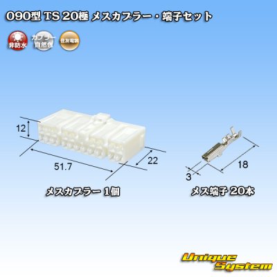 画像1: 住友電装 090型 TS 非防水 20極 メスカプラー・端子セット