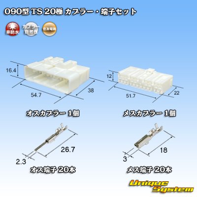 画像1: 住友電装 090型 TS 非防水 20極 カプラー・端子セット
