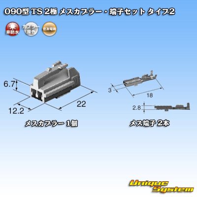 画像5: 住友電装 090型 TS 非防水 2極 メスカプラー・端子セット タイプ2