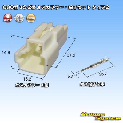 画像1: 住友電装 090型 TS 非防水 2極 オスカプラー・端子セット タイプ2