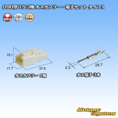 画像1: 住友電装 090型 TS 非防水 3極 オスカプラー・端子セット タイプ1