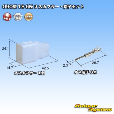 画像1: 住友電装 090型 TS 非防水 6極 オスカプラー・端子セット