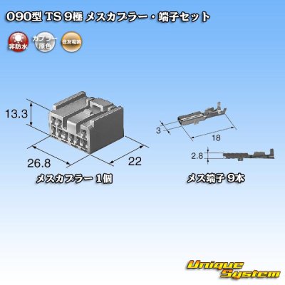 画像5: 住友電装 090型 TS 非防水 9極 メスカプラー・端子セット