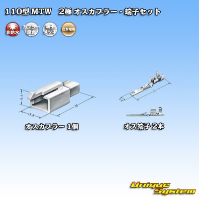 画像4: 住友電装 110型 MTW 非防水 2極 オスカプラー・端子セット