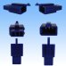 画像2: 住友電装 110型 MTW 非防水 3極 オスカプラー・端子セット 青色 (2)