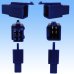 画像2: 住友電装 110型 MTW 非防水 4極 カプラー・端子セット 青色 (2)