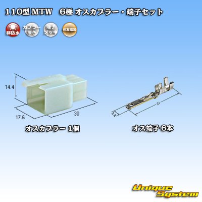 画像1: 住友電装 110型 MTW 非防水 6極 オスカプラー・端子セット