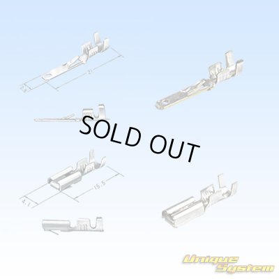 画像4: 住友電装 110型 MTW 非防水 4極 カプラー・端子セット 青色