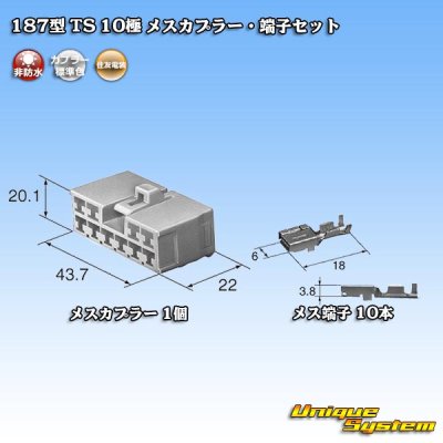 画像5: 住友電装 187型 TS 非防水 10極 メスカプラー・端子セット