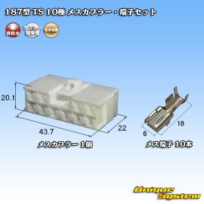 画像1: 住友電装 187型 TS 非防水 10極 メスカプラー・端子セット