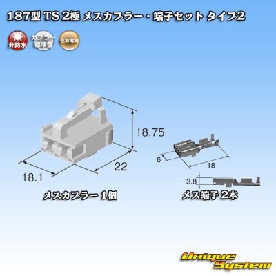 画像5: 住友電装 187型 TS 非防水 2極 メスカプラー・端子セット タイプ2