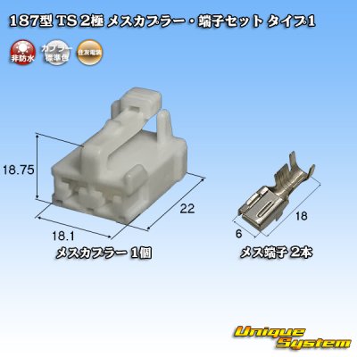 画像1: 住友電装 187型 TS 非防水 2極 メスカプラー・端子セット タイプ1