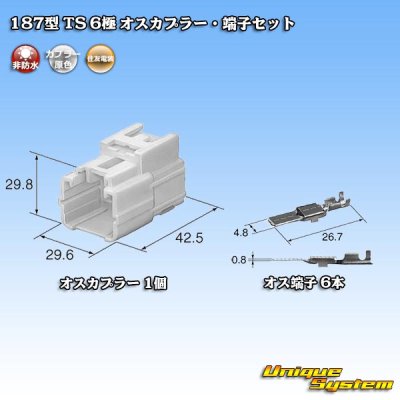 画像5: 住友電装 187型 TS 非防水 6極 オスカプラー・端子セット タイプ1