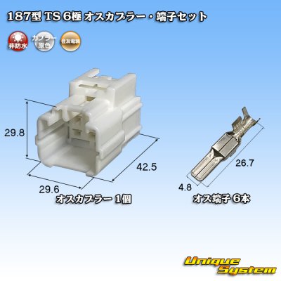 画像1: 住友電装 187型 TS 非防水 6極 オスカプラー・端子セット タイプ1