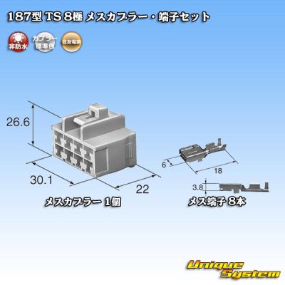 画像5: 住友電装 187型 TS 非防水 8極 メスカプラー・端子セット