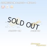 住友電装 250型 ETN 非防水 1極 メスカプラー・端子セット