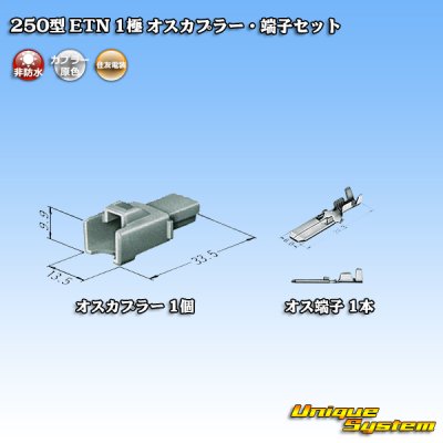 画像4: 住友電装 250型 ETN 非防水 1極 オスカプラー・端子セット