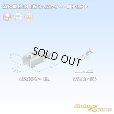 画像4: 住友電装 250型 ETN 非防水 1極 オスカプラー・端子セット