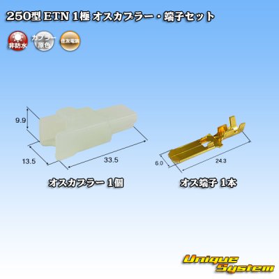 画像1: 住友電装 250型 ETN 非防水 1極 オスカプラー・端子セット