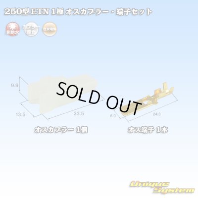 画像1: 住友電装 250型 ETN 非防水 1極 オスカプラー・端子セット