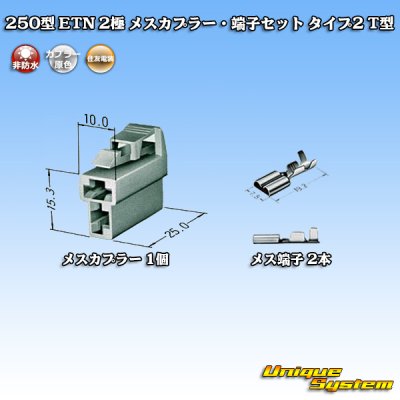 画像5: 住友電装 250型 ETN 非防水 2極 メスカプラー・端子セット タイプ2 T型