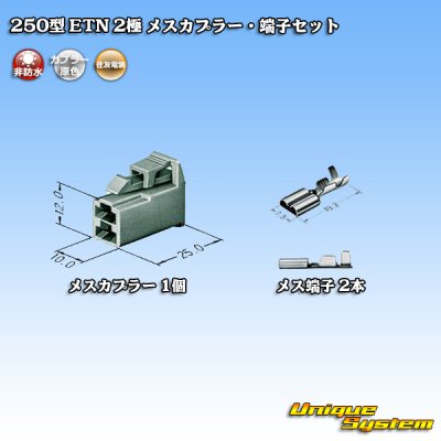 画像4: 住友電装 250型 ETN 非防水 2極 メスカプラー・端子セット タイプ1