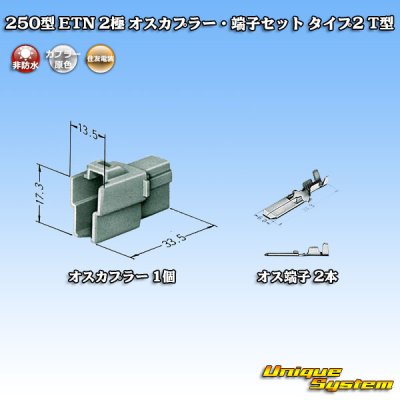 画像5: 住友電装 250型 ETN 非防水 2極 オスカプラー・端子セット タイプ2 T型