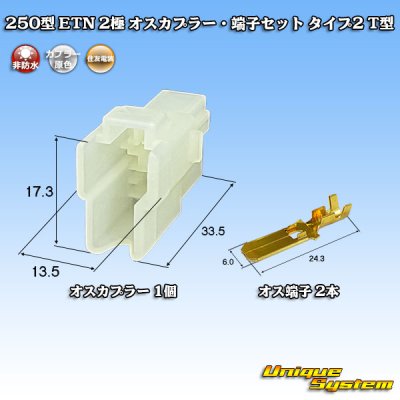 画像1: 住友電装 250型 ETN 非防水 2極 オスカプラー・端子セット タイプ2 T型