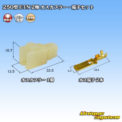 画像1: 住友電装 250型 ETN 非防水 2極 オスカプラー・端子セット タイプ1