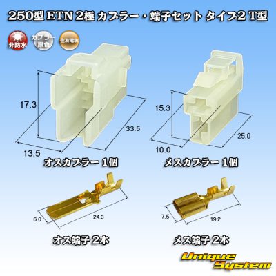 画像1: 住友電装 250型 ETN 非防水 2極 カプラー・端子セット タイプ2 T型