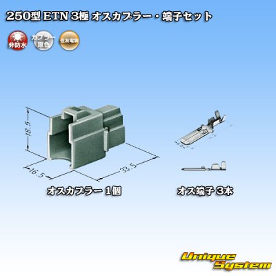 画像4: 住友電装 250型 ETN 非防水 3極 オスカプラー・端子セット