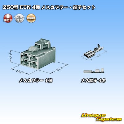 画像4: 住友電装 250型 ETN 非防水 4極 メスカプラー・端子セット