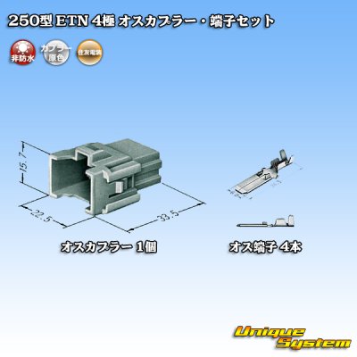 画像4: 住友電装 250型 ETN 非防水 4極 オスカプラー・端子セット