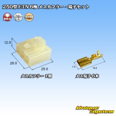 画像1: 住友電装 250型 ETN 非防水 6極 メスカプラー・端子セット