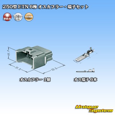 画像4: 住友電装 250型 ETN 非防水 6極 オスカプラー・端子セット