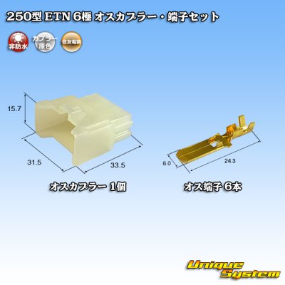 画像1: 住友電装 250型 ETN 非防水 6極 オスカプラー・端子セット