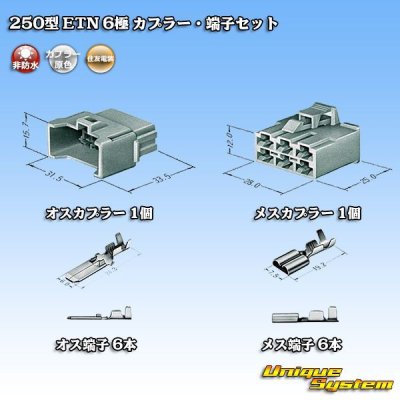 画像5: 住友電装 250型 ETN 非防水 6極 カプラー・端子セット