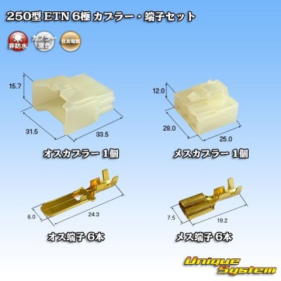 画像1: 住友電装 250型 ETN 非防水 6極 カプラー・端子セット