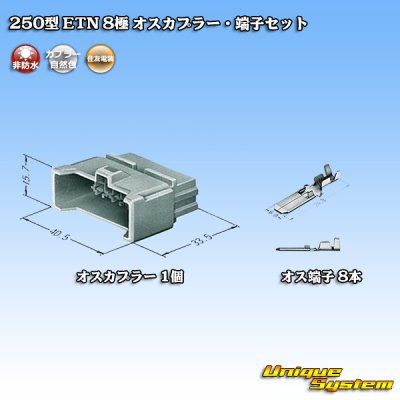 画像1: 住友電装 250型 ETN 非防水 8極 オスカプラー・端子セット