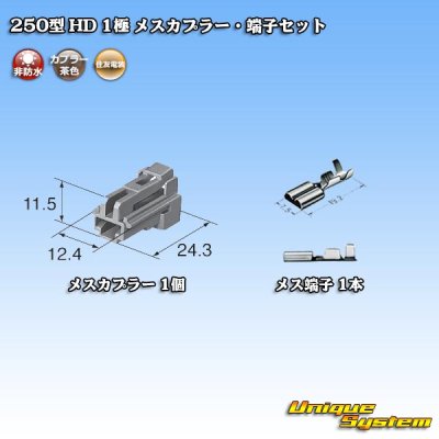 画像4: 住友電装 250型 HD 非防水 1極 メスカプラー・端子セット