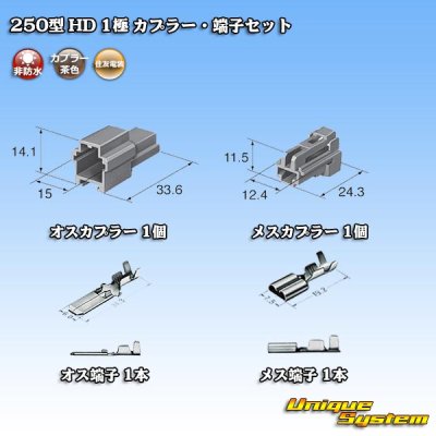 画像5: 住友電装 250型 HD 非防水 1極 カプラー・端子セット