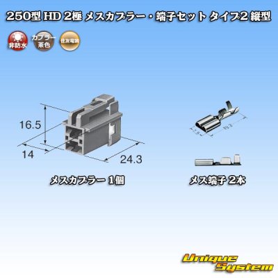 画像1: 住友電装 250型 HD 非防水 2極 メスカプラー・端子セット タイプ2 縦型