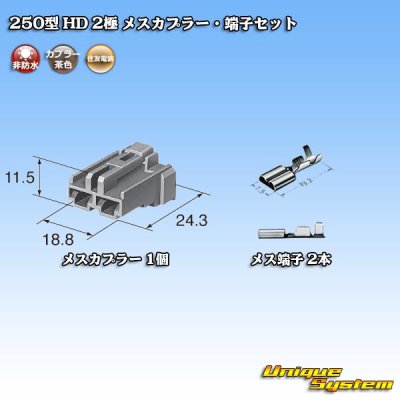 画像4: 住友電装 250型 HD 非防水 2極 メスカプラー・端子セット タイプ1 横一列