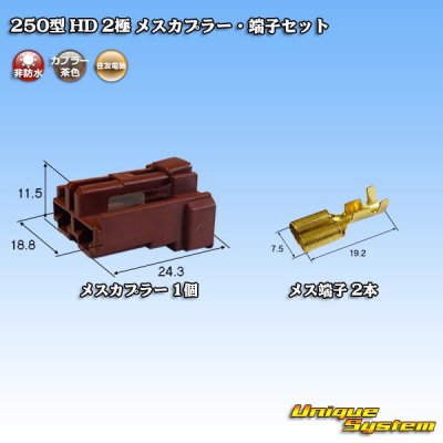 画像1: 住友電装 250型 HD 非防水 2極 メスカプラー・端子セット タイプ1 横一列