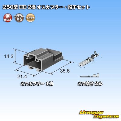 画像4: 住友電装 250型 HD 非防水 2極 オスカプラー・端子セット タイプ1 横一列