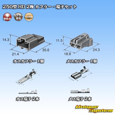 画像5: 住友電装 250型 HD 非防水 2極 カプラー・端子セット タイプ1 横一列