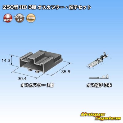 画像5: 住友電装 250型 HD 非防水 3極 オスカプラー・端子セット