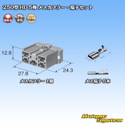 画像5: 住友電装 250型 HD 非防水 5極 メスカプラー・端子セット