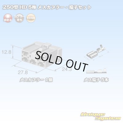 画像5: 住友電装 250型 HD 非防水 5極 メスカプラー・端子セット